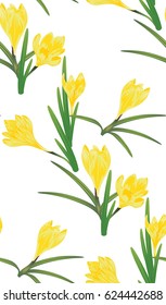 Spring flowers, yellow blooming crocus or saffron design.