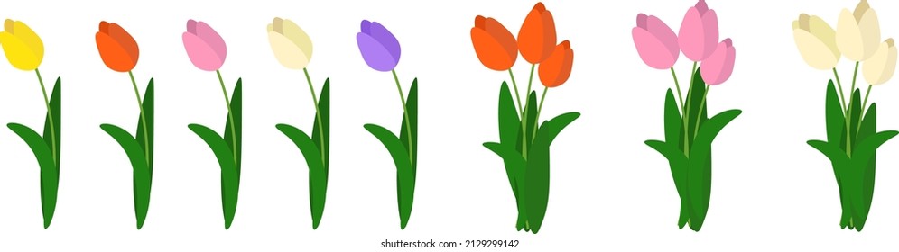 Frühlingsblumen. Gelbe rosa, violette Tulpen, Vektorgrafik auf weißem Hintergrund. 