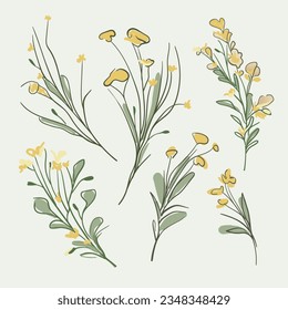 Flores de primavera amarillas sobre fondo verde. Colección de flores silvestres. Diseño floral mínimo. Ilustración vectorial botánica. 