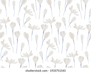 Spring flowers. Yellow and white crocuses. Garden primroses. Bulbous plants. Vector bouquet for greeting cards