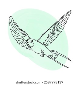 Spring flying swallow. Bird on linear style with watercolor spot, isolated on white background.  Vector illustration for banner, social media