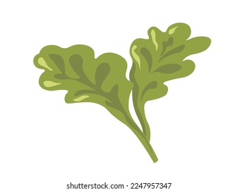 Spring foliage of plant or vegetable, isolated lush greenery, vegetation or decoration. Veggie or salad leaf, seasonal leafage of trees or bushes, shrubs of forest or woodlands. Vector in flat style