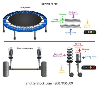 Spring Force Infographic Diagram example of trampoline and vehicle shock absorber showing spring at equilibrium when forced distance constant elasticity action formula physics science education vector