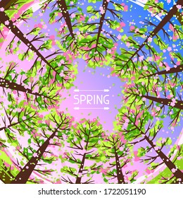 Spring forest background with stylized trees. Seasonal illustration.