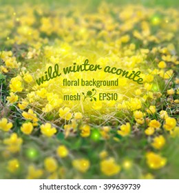 Spring forest covered in yellow aconites, Vector blurred background made with mesh.