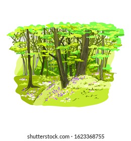 Spring forest full of flowers and fresh green grass, hand drawn vector illustration