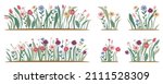 Spring forest and garden flowers isolated set. Garden flowerbeds and green grass pack on white background. Tulips, daisies, and plant branch branches with leaves. Illustration of wildflower