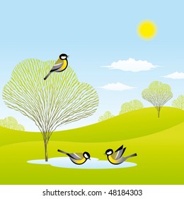 Spring forest. Vector