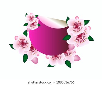 Spring frame flowers sticker