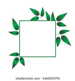 Spring frame with green leaves on white background. Trend color card with branches.  Season sale, social media promotional content. In the center of the image there is space to add your own text.