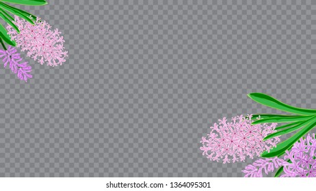Spring frame horizontal of hyacinth flowers. Watercolor vector image. Design element for invitations, cards, packaging. Spring bouquet of hyacinths.