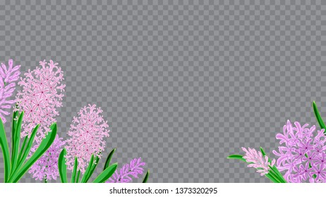 Spring frame horizontal of hyacinth flowers. Watercolor vector image. Spring bouquet of hyacinths. Design element for invitations, cards, packaging.