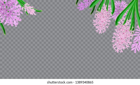 Spring frame horizontal of hyacinth flowers. Watercolor vector image. Design element for invitations, cards, packaging. Spring bouquet of hyacinths.