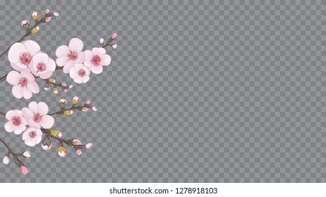 Spring frame of sakura flowers. Magenta on transparent background. Handmade background in Chinese style. Theme design textiles, wallpaper, packaging, printing.