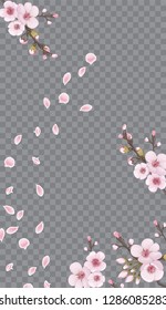 Spring frame vertical of sakura flowers. Theme design textiles, wallpaper, packaging, printing, story. Pink on transparent background. Handmade background in Chinese style.