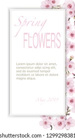 Spring frame vertical of sakura flowers. Pink on white fond. Design element for cover, invitation, booklet, printing. Handmade background in the Japanese style.