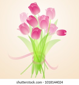 Spring fresh bouquet of lidht pink tulips. Vector template.