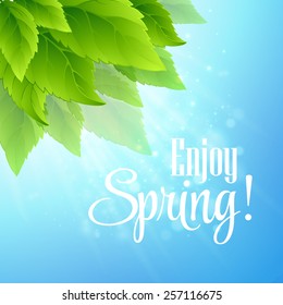 Spring fresh green leaves. Vector illustration