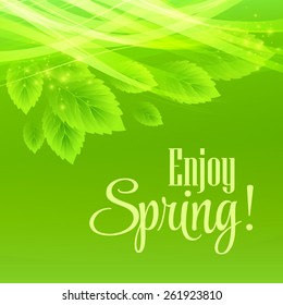 Spring fresh green leaves. Vector illustration EPS10