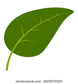 Spring fresh leaf Simple green leaf vector with veins clean