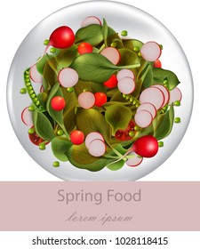 Spring fresh salad with spinach, radish and green peas Vector