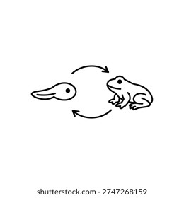 Spring frog life cycle tadpole to frog black and white vector illustration spring frog metamorphosis education concept