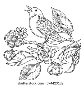 Spring garden composition in doodle style. A bird sings on a bloom branch. Ornate decorative black and white illustration. Zentangle coloring book page