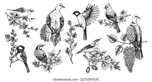 Spring garden compositions with birds, flowers, leaves, and blooming tree branches. Hand-drawn almond, willow, rowan, willow, and cherry blossom illustrations set. Natural sketches collection