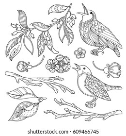 Spring garden design elements set in doodle style. Bird, branch, flowers, leaves. Ornate decorative black and white illustration. Zentangle coloring book page