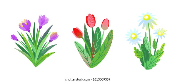 Spring garden flower bouquet set vector background with chamomile, tulip, crocus. Graphic illustration of nature bush plants in simple flat style with dots texture effect.