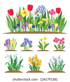 Garden Flowers Growing Flowerbed Flowers Isolated Stock Vector (Royalty ...