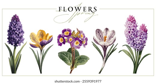 Spring garden flowers isolated on a white background. Vintage painting style illustration.