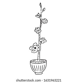 Spring garden flowers. Vector illustration of garden flowers in a pot. Hand drawn spring flowers in a pot.