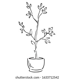 Spring garden flowers. Vector illustration of garden flowers in a pot. Hand drawn spring flowers in a pot.
