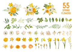 Spring Garden Flowers, Yellow Daffodil, Mustard Rose, White Fresia, Eucalyptus, Greenery, Fern. Vector Design Isolated Elements Set. Wedding Summer Bouquet Collection For Decoration, Invitation, Cover