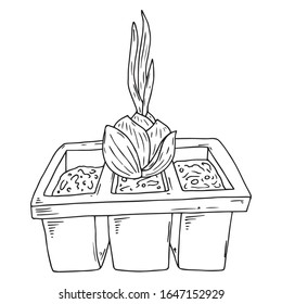 Plantas de jardín de primavera plantadas en el icono de los baldes. Ilustración vectorial de un cubo con plantas de resorte y flores.