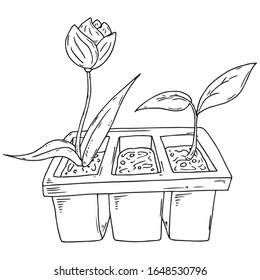 Spring garden plants planted in buckets icon. Vector illustration of a bucket with spring plants and flowers.