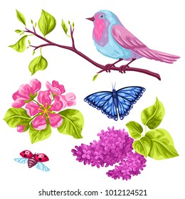 Spring garden set of objects. Natural illustration with blossom flower, robin birdie and butterfly.