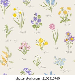 Spring Garden variety flowers hand drawn vector seamless pattern. Vintage Romantic Bloom design. Curiosity Cabinet Botanical aesthetic floral print for fabric, scrapbook, wrapping, card making