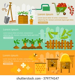 Spring gardening banners seedling cultivation beekeeping root veggies vector illustrations 