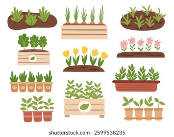 Spring and gardening concept cliparts. Set of different seedlings isolated on white background. Vector hand drawn objects.