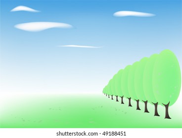 Spring glade