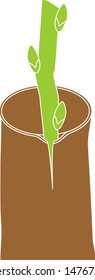 Spring grafting tree. Bark graft
