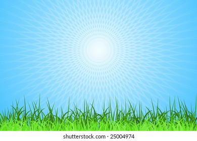 Spring Grass