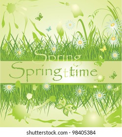 Spring grass