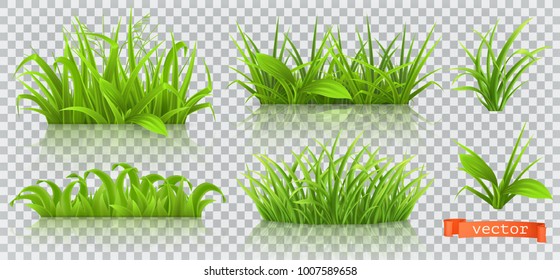 Spring Grass 3d Vector