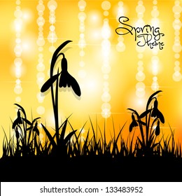 Spring grass background - First spring flowers - Snowdrops - vector illustration