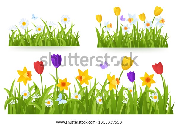 白い背景に春の草と早春の花と蝶 色付きチューリップ 水仙 ヒナギクのイラスト ガーデンベッド 春のデザインエレメント ベクター画像eps10 のベクター画像素材 ロイヤリティフリー