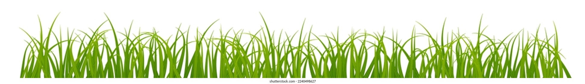 Spring grass border. Natural green growing plants