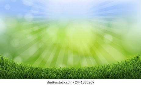 Spring Grass Border And Sunburst Background 
With Gradient Mesh, Vector Illustration
